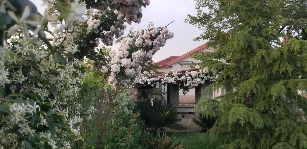 Country House Bubullime Albania Lushnjë Exteriér fotografie