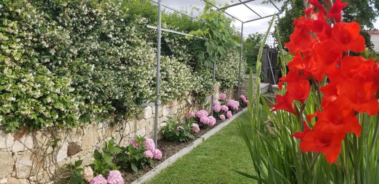 Country House Bubullime Albania Lushnjë Exteriér fotografie
