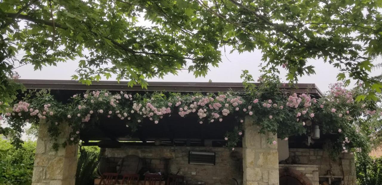 Country House Bubullime Albania Lushnjë Exteriér fotografie