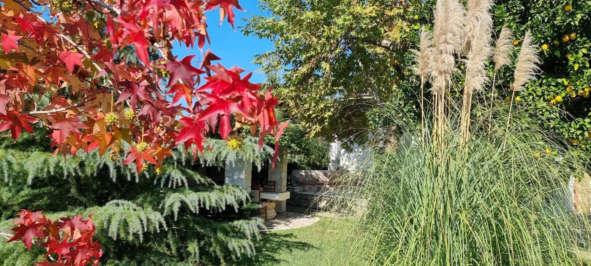 Country House Bubullime Albania Lushnjë Exteriér fotografie